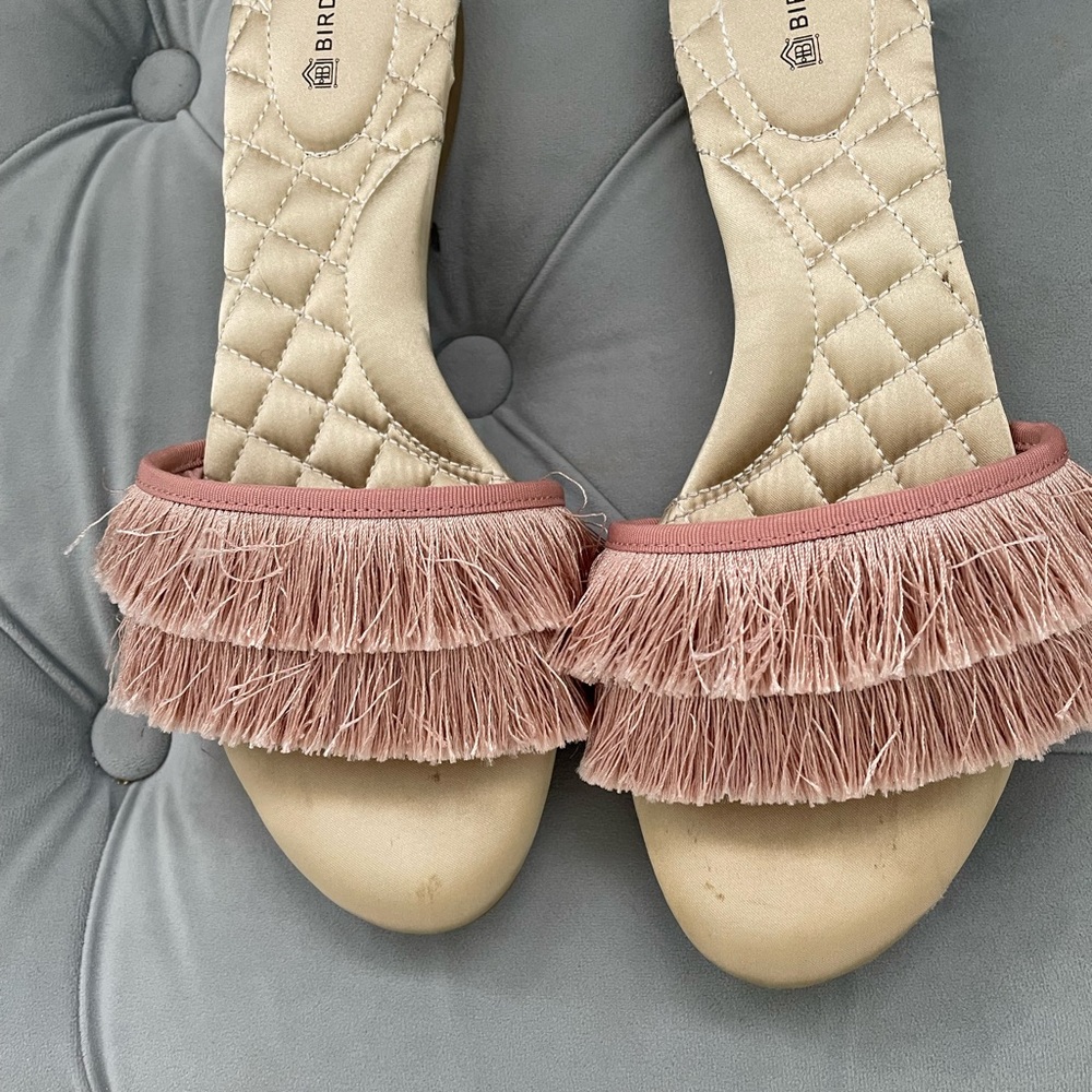 Birdies Sparrow Slides 💖